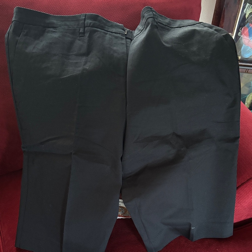 New York & Company Black Women's Bermudas